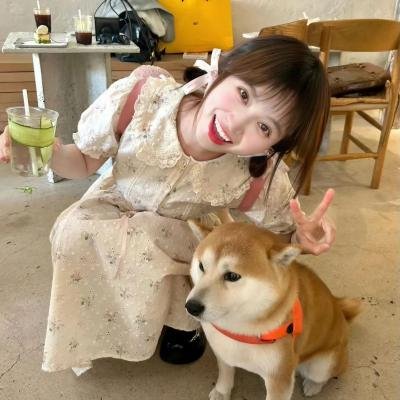 亲爱的客栈第一季